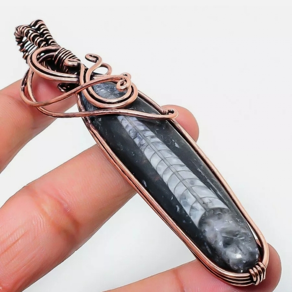 New Oversized Orthoceras Fossil Wire Wrapped Pendant. - Picture 15 of 15